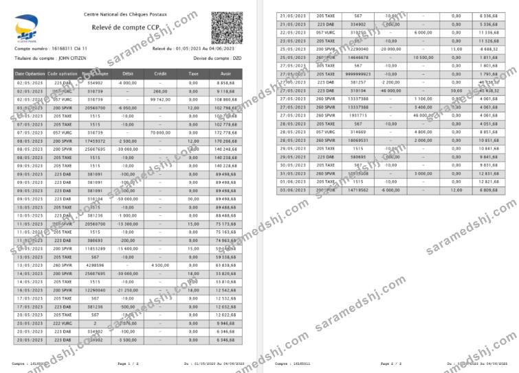 France France National Center for Postal Checks CCP account statement Word and PDF template